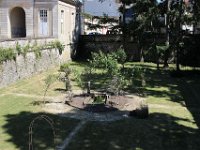 IMG 8380  Au XVIIIème siècle, André Le Nôtre crée des jardins dits "à la française" puis le château change de propriétaire et le jardinier Huillard d'Hérou redessine le parc en un jardin "à l'anglaise", y introduisant des essences exotiques rares en 1821. Il y a aujourd'hui, une quarantaine d'essences exotiques sur place.