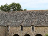 IMG 6849  L’histoire expliquerait ainsi la migration annuelle des oies sauvages en mars dans le Cotentin.