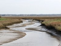 IMG 6722  Nous sommes maintenant dans les marais d'Isigny.