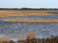 IMG 6739  Le niveau de l’eau monte à tel point que le marais devient un immense lac où l’on ne distingue ni végétation, ni parcelles agricoles.