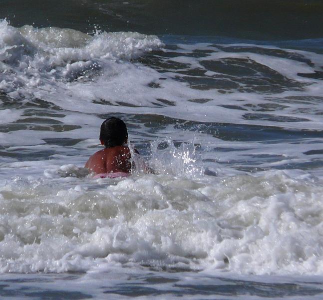 P1040660.JPG - L'école des vagues.